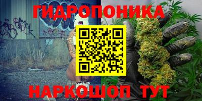 мяу мяу мука Будённовск
